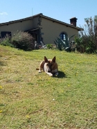 PET FRIENDLY - Podere Ager Mentis